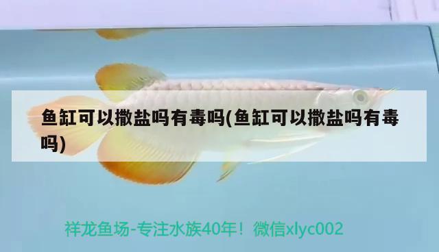 魚缸可以撒鹽嗎有毒嗎(魚缸可以撒鹽嗎有毒嗎)