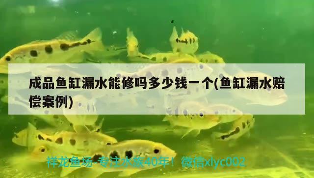 成品魚缸漏水能修嗎多少錢一個(gè)(魚缸漏水賠償案例)