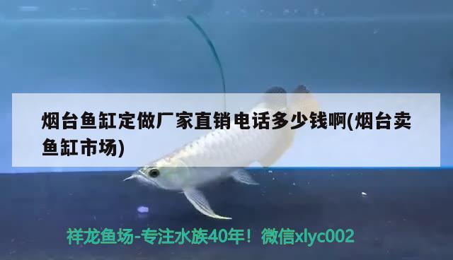 煙臺(tái)魚(yú)缸定做廠家直銷(xiāo)電話多少錢(qián)啊(煙臺(tái)賣(mài)魚(yú)缸市場(chǎng)) 羽毛刀魚(yú)苗