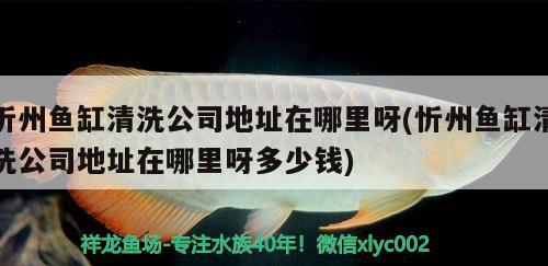 忻州魚(yú)缸清洗公司地址在哪里呀(忻州魚(yú)缸清洗公司地址在哪里呀多少錢(qián)) 鐵甲武士