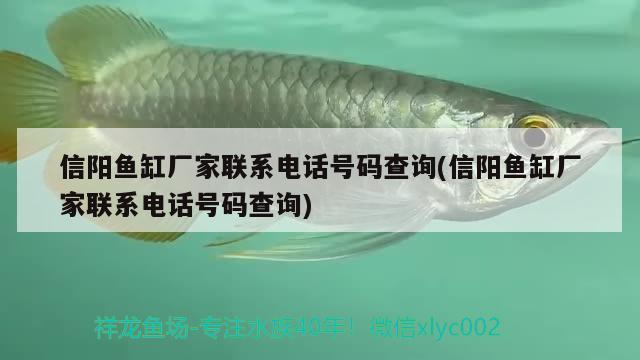 信陽魚缸廠家聯系電話號碼查詢(信陽魚缸廠家聯系電話號碼查詢)