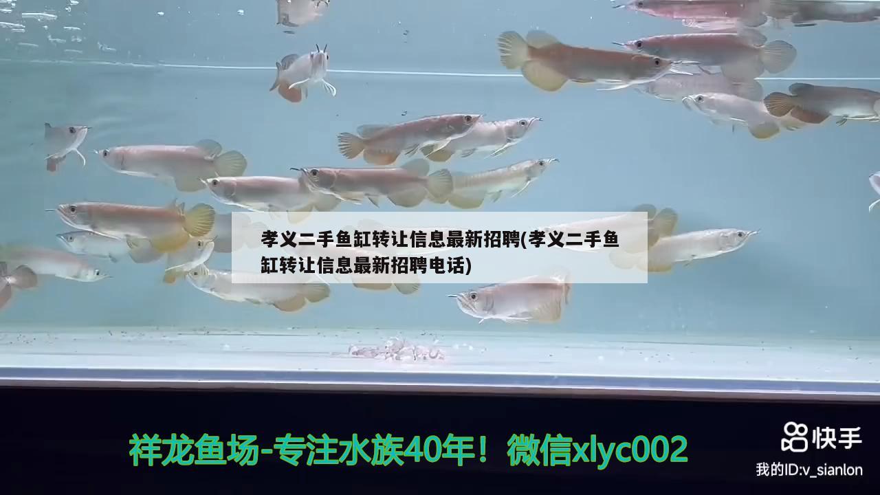 孝義二手魚(yú)缸轉(zhuǎn)讓信息最新招聘(孝義二手魚(yú)缸轉(zhuǎn)讓信息最新招聘電話) 黃寬帶蝴蝶魚(yú)