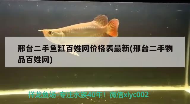 邢臺(tái)二手魚(yú)缸百姓網(wǎng)價(jià)格表最新(邢臺(tái)二手物品百姓網(wǎng)) 黃鰭鯧魚(yú)