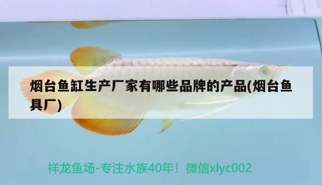 煙臺魚缸生產(chǎn)廠家有哪些品牌的產(chǎn)品(煙臺魚具廠) 圣菲埃及魚