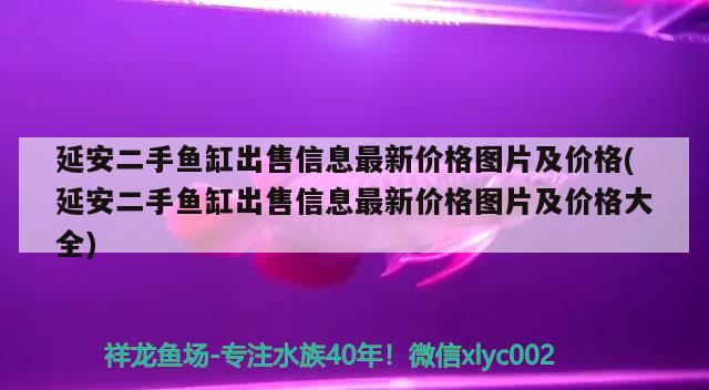 延安二手魚缸出售信息最新價格圖片及價格(延安二手魚缸出售信息最新價格圖片及價格大全) 奈及利亞紅圓點狗頭