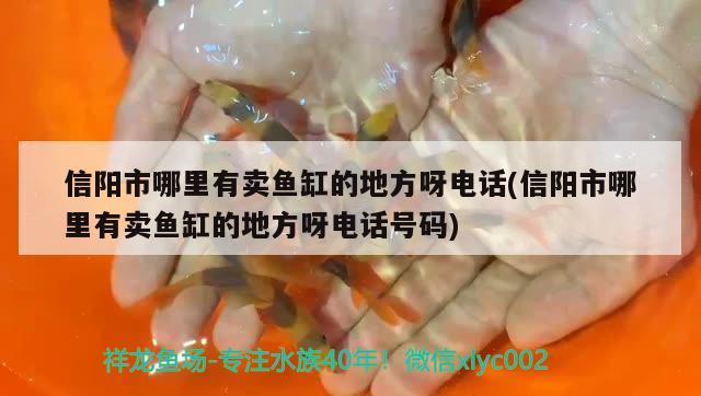 信陽市哪里有賣魚缸的地方呀電話(信陽市哪里有賣魚缸的地方呀電話號碼) 申古三間魚