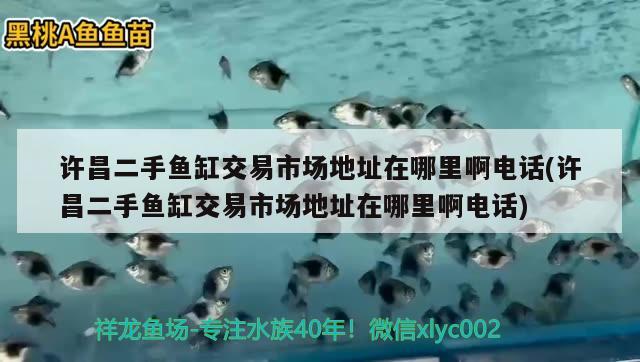 許昌二手魚缸交易市場地址在哪里啊電話(許昌二手魚缸交易市場地址在哪里啊電話)