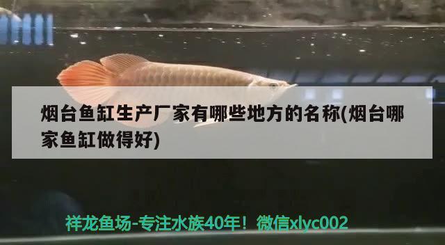 煙臺魚缸生產廠家有哪些地方的名稱(煙臺哪家魚缸做得好) 祥龍龍魚魚糧