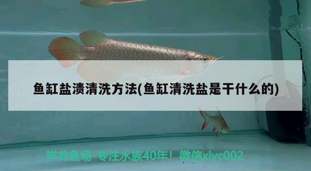 魚(yú)缸鹽漬清洗方法(魚(yú)缸清洗鹽是干什么的) 白子金龍魚(yú)