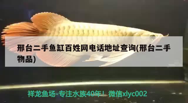 邢臺(tái)二手魚(yú)缸百姓網(wǎng)電話(huà)地址查詢(xún)(邢臺(tái)二手物品) 眼斑魚(yú)