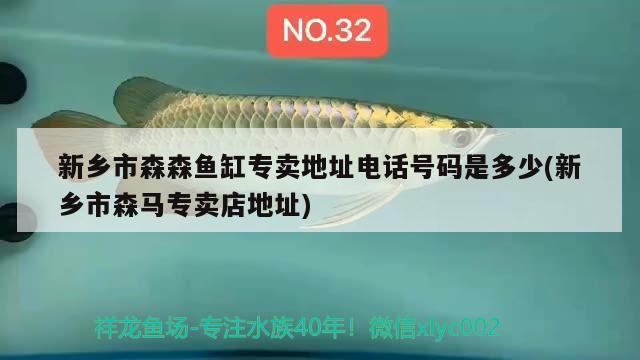 新鄉(xiāng)市森森魚缸專賣地址電話號(hào)碼是多少(新鄉(xiāng)市森馬專賣店地址) 月光鴨嘴魚