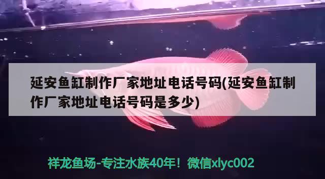 延安魚缸制作廠家地址電話號碼(延安魚缸制作廠家地址電話號碼是多少)