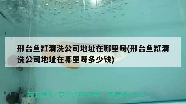 邢臺魚缸清洗公司地址在哪里呀(邢臺魚缸清洗公司地址在哪里呀多少錢)