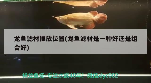 龍魚濾材擺放位置(龍魚濾材是一種好還是組合好)