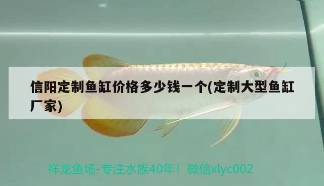 信陽定制魚缸價格多少錢一個(定制大型魚缸廠家) 月光鴨嘴魚