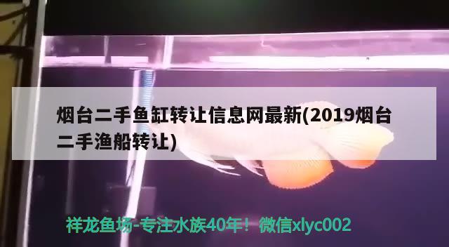 煙臺二手魚缸轉讓信息網最新(2019煙臺二手漁船轉讓) 紅龍專用魚糧飼料