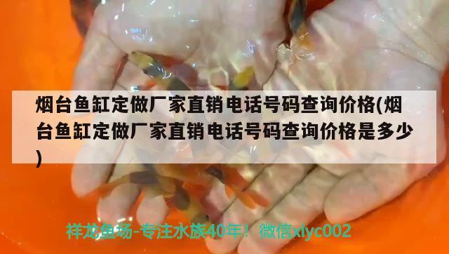 煙臺魚缸定做廠家直銷電話號碼查詢價(jià)格(煙臺魚缸定做廠家直銷電話號碼查詢價(jià)格是多少)