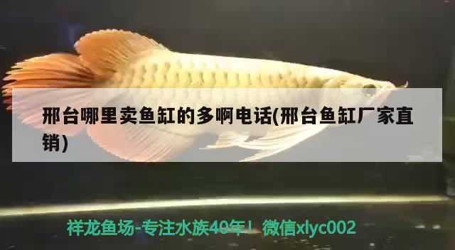 邢臺(tái)哪里賣(mài)魚(yú)缸的多啊電話(邢臺(tái)魚(yú)缸廠家直銷(xiāo)) 帝王血鉆 第1張