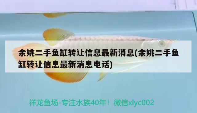 余姚二手魚(yú)缸轉(zhuǎn)讓信息最新消息(余姚二手魚(yú)缸轉(zhuǎn)讓信息最新消息電話)