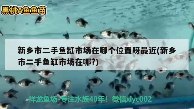 新鄉(xiāng)市二手魚缸市場在哪個位置呀最近(新鄉(xiāng)市二手魚缸市場在哪?)