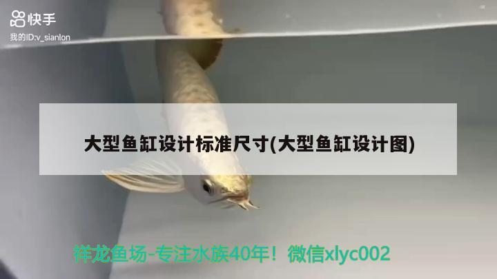 大型魚缸設計標準尺寸(大型魚缸設計圖) 廣州祥龍國際水族貿(mào)易