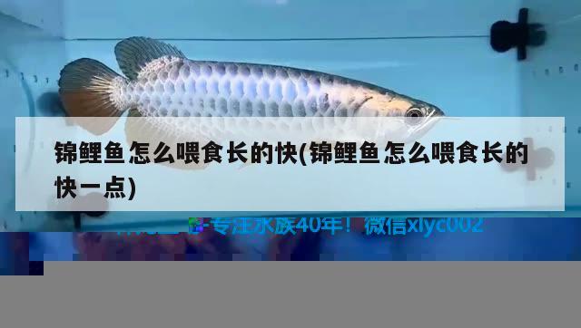 自己加工魚(yú)缸石頭(石子魚(yú)缸工藝)