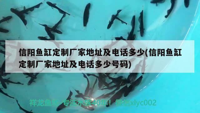 信陽魚缸定制廠家地址及電話多少(信陽魚缸定制廠家地址及電話多少號碼)