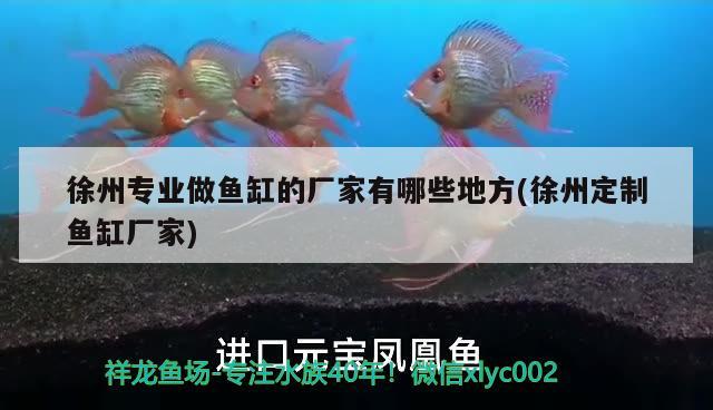 徐州專(zhuān)業(yè)做魚(yú)缸的廠家有哪些地方(徐州定制魚(yú)缸廠家) 龍魚(yú)芯片掃碼器