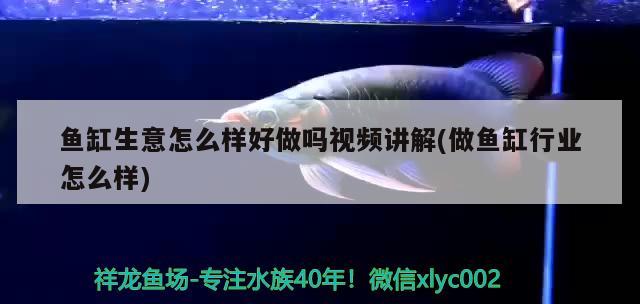 魚缸生意怎么樣好做嗎視頻講解(做魚缸行業(yè)怎么樣)