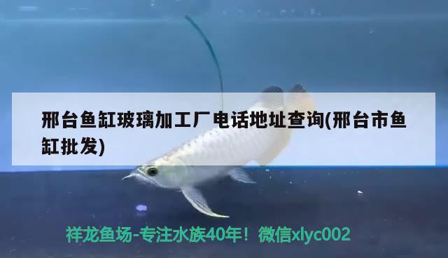 邢臺魚缸玻璃加工廠電話地址查詢(邢臺市魚缸批發(fā))