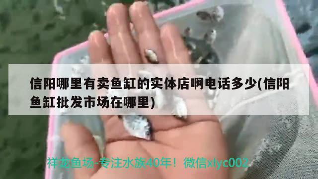 信陽哪里有賣魚缸的實體店啊電話多少(信陽魚缸批發(fā)市場在哪里) 照明器材