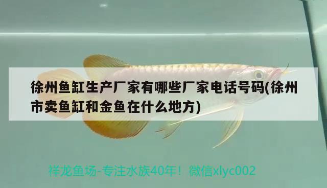 徐州魚缸生產(chǎn)廠家有哪些廠家電話號碼(徐州市賣魚缸和金魚在什么地方)