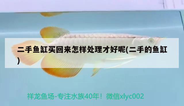 二手魚缸買回來怎樣處理才好呢(二手的魚缸)