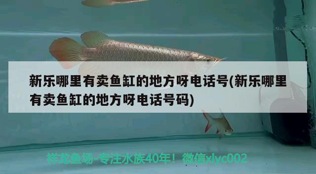 新樂哪里有賣魚缸的地方呀電話號(hào)(新樂哪里有賣魚缸的地方呀電話號(hào)碼)