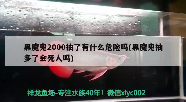 黑魔鬼2000抽了有什么危險(xiǎn)嗎(黑魔鬼抽多了會(huì)死人嗎)