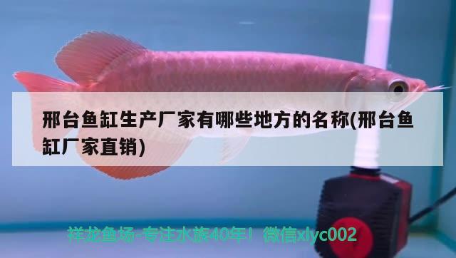 邢臺(tái)魚(yú)缸生產(chǎn)廠家有哪些地方的名稱(chēng)(邢臺(tái)魚(yú)缸廠家直銷(xiāo))