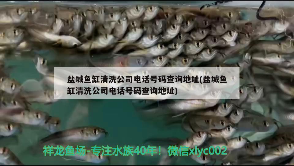 鹽城魚缸清洗公司電話號碼查詢地址(鹽城魚缸清洗公司電話號碼查詢地址) 撒旦鴨嘴魚