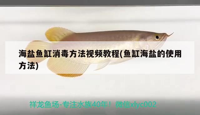 海鹽魚缸消毒方法視頻教程(魚缸海鹽的使用方法) 魚缸定做