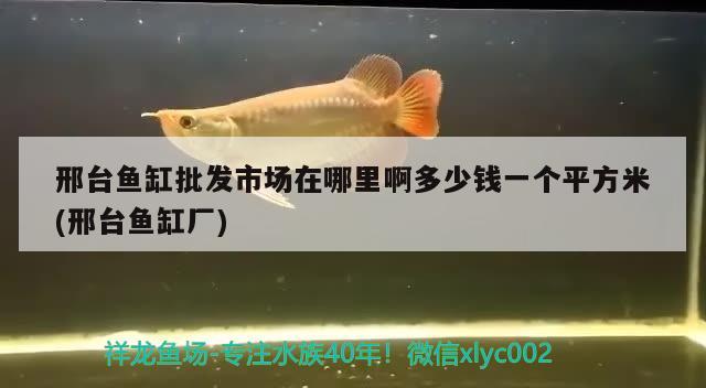 邢臺魚缸批發(fā)市場在哪里啊多少錢一個平方米(邢臺魚缸廠) 彩鰈魚缸（彩蝶魚缸）