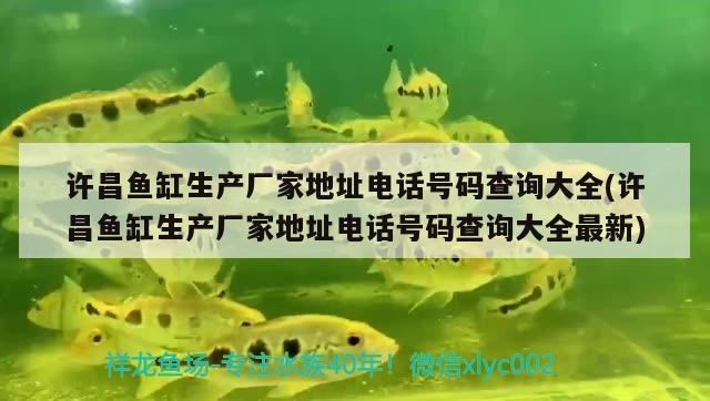 許昌魚缸生產(chǎn)廠家地址電話號碼查詢大全(許昌魚缸生產(chǎn)廠家地址電話號碼查詢大全最新)