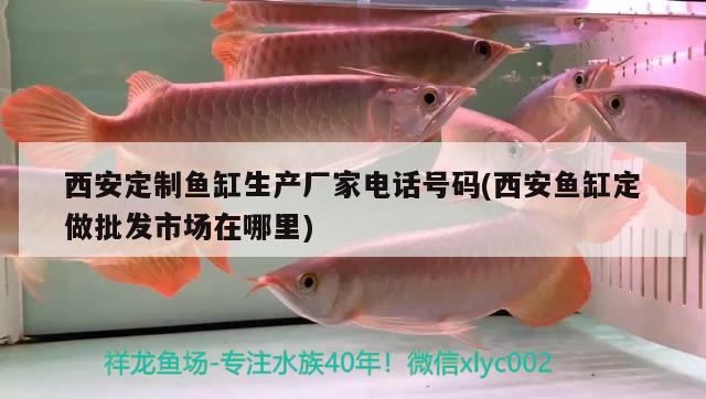 西安定制魚缸生產(chǎn)廠家電話號碼(西安魚缸定做批發(fā)市場在哪里)