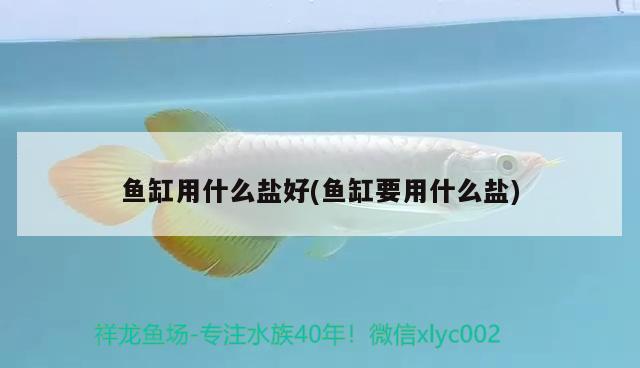 魚缸用什么鹽好(魚缸要用什么鹽) 國產(chǎn)元寶鳳凰魚