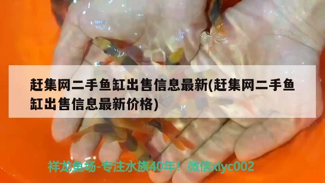 趕集網(wǎng)二手魚缸出售信息最新(趕集網(wǎng)二手魚缸出售信息最新價格) 南美異型魚