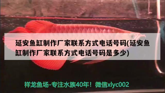 延安魚缸制作廠家聯(lián)系方式電話號碼(延安魚缸制作廠家聯(lián)系方式電話號碼是多少) 孵化器