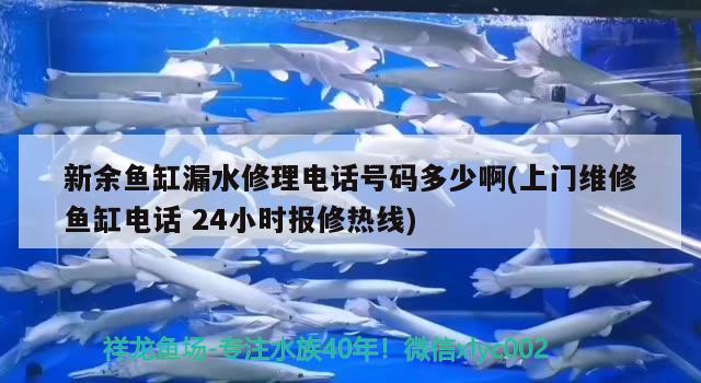 新余魚缸漏水修理電話號碼多少啊(上門維修魚缸電話24小時報修熱線)