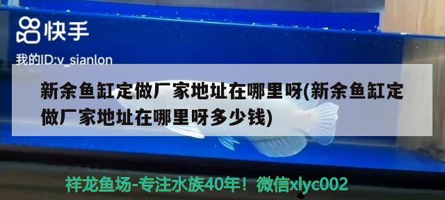 新余魚缸定做廠家地址在哪里呀(新余魚缸定做廠家地址在哪里呀多少錢) 觀賞魚