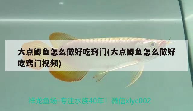 大點鯽魚怎么做好吃竅門(大點鯽魚怎么做好吃竅門視頻)