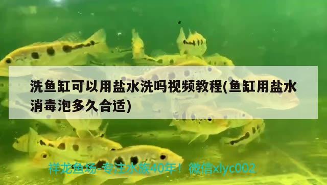 洗魚缸可以用鹽水洗嗎視頻教程(魚缸用鹽水消毒泡多久合適)