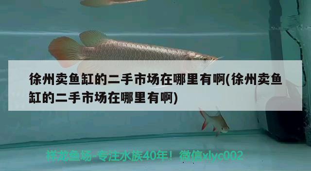 徐州賣魚缸的二手市場(chǎng)在哪里有啊(徐州賣魚缸的二手市場(chǎng)在哪里有啊)