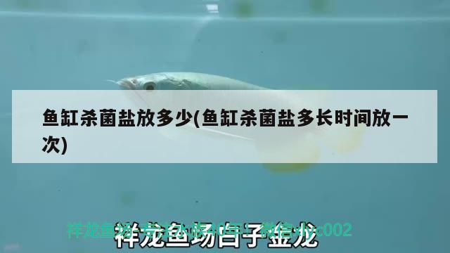 魚缸殺菌鹽放多少(魚缸殺菌鹽多長時間放一次)